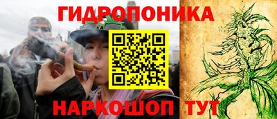 бошки Дубна