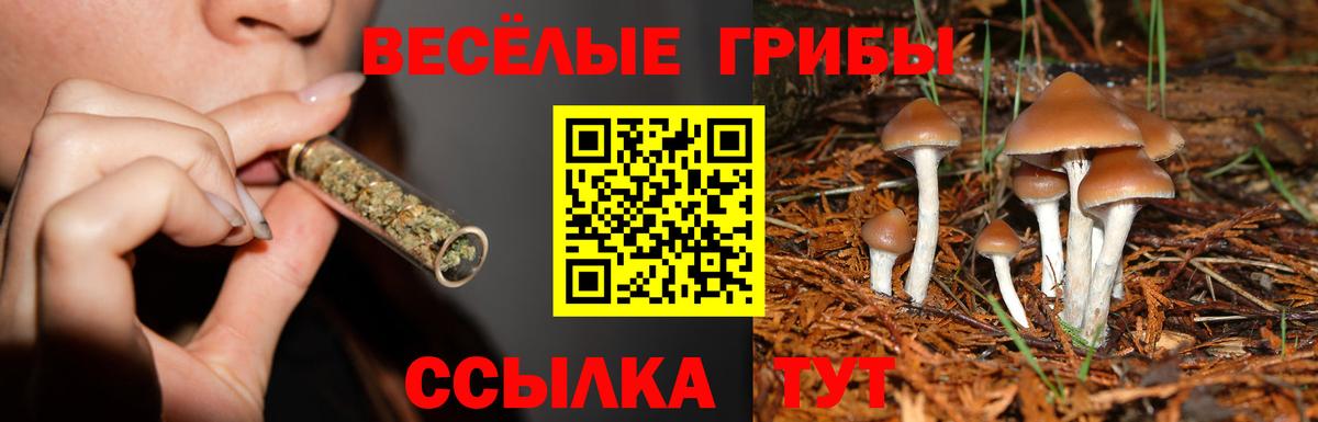 Псилоцибиновые грибы MAGIC MUSHROOMS Новоалександровск