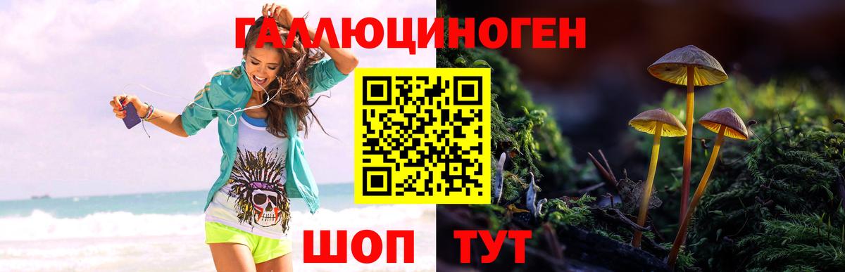 Галлюциногенные грибы мухоморы  Галлюциногенные грибы ЛСД  Новоалександровск  Вход с VPN 
