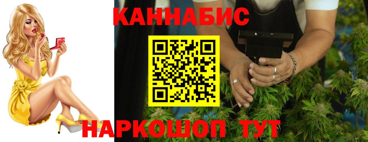 Шишки марихуана сатива Новоалександровск